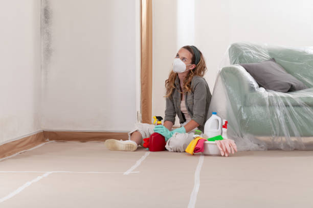 Reliable Mold Remediation contractor in Arizona, AZ by WQB Mold Removal